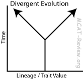 Divergent Evolution