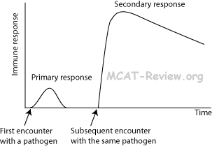 Immune Response