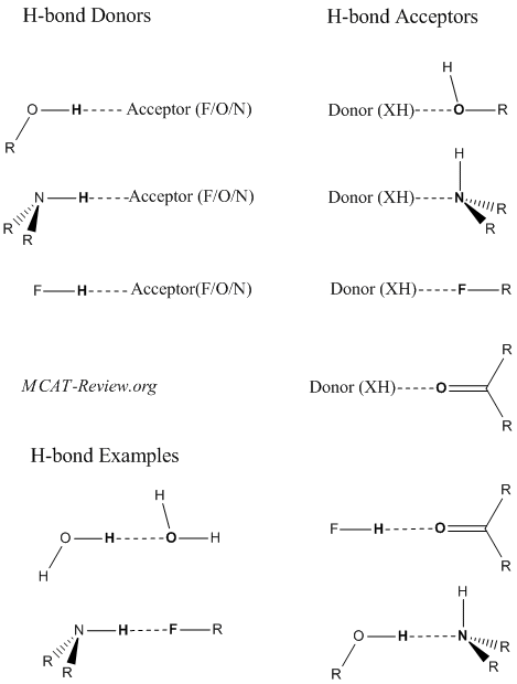 Hydrogen Bond