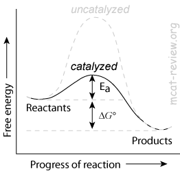Reaction Catalyzed