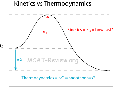 Kinetics Thermodynamics