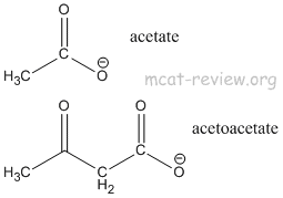 Acetoacetate