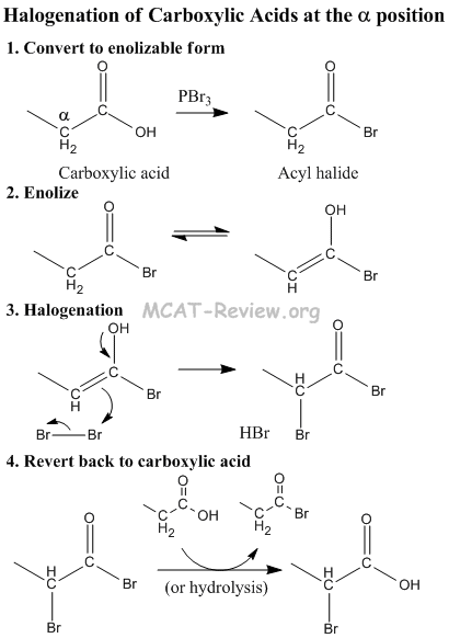 Cooh Halogenation