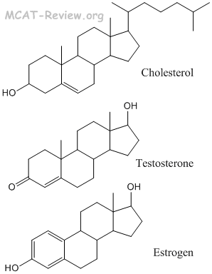 Steroids