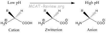 Zwitterion