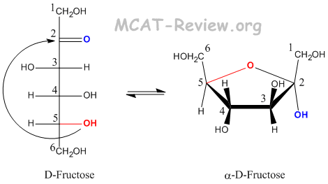 Fructose Furanose