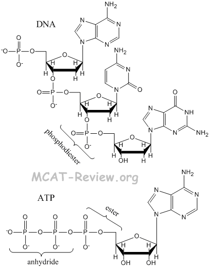 Phosphoric Esters