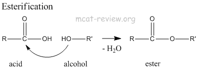 Esterification