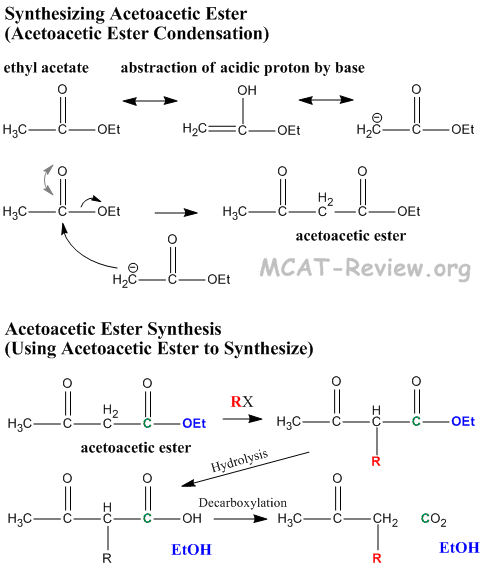 Acetoacetic Ester Synthesis