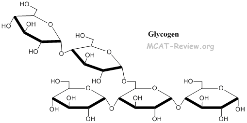 Glycogen