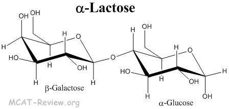 Lactose