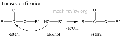 Transesterification