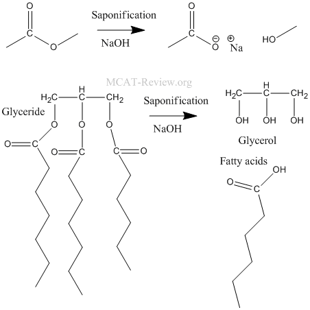 Saponification