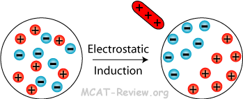 Electrostatic Induction