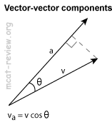 Vector Vector