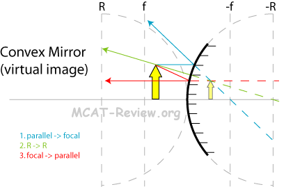 Convex Mirror Ray Virtual