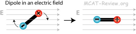 Dipole Field